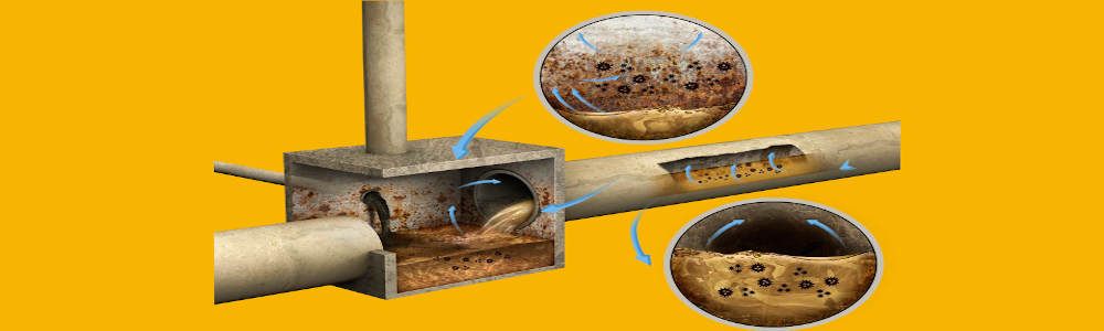 Prevención de la corrosión del hormigón por ataque biogénico