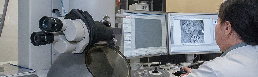 FLASHLAB – laboratorio acreditado especializado en la detección de amianto en materiales y aire