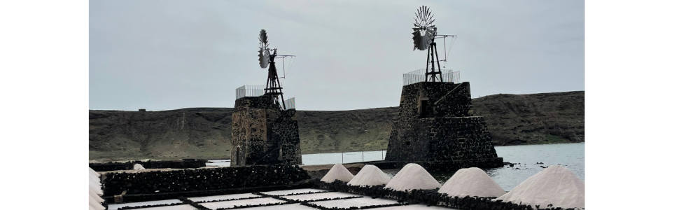 Obra de Mapei: Dos Molinos de Agua, de las salinas de Janubio