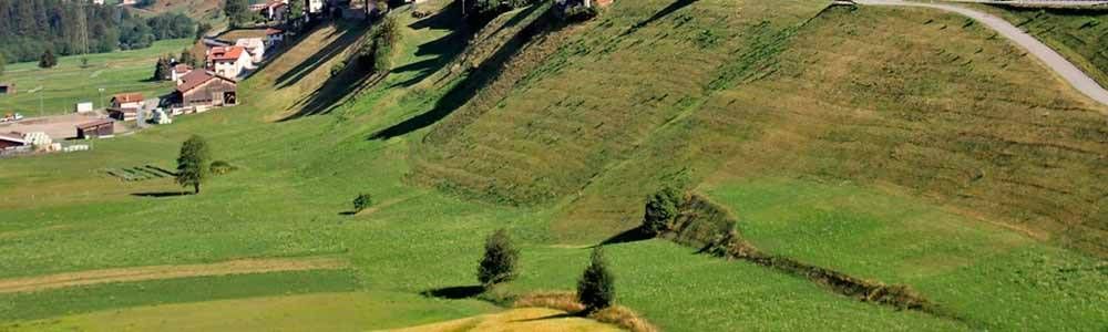 Primigea: Canteras y Minas se comprometen por el clima con una plantación voluntaria de 45.000 árboles, con motivo de la COP25