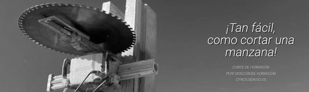 Promiviser se incorpora a AEDED