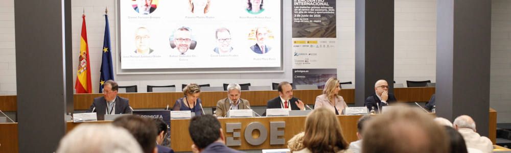II Encuentro Internacional de PRIMIGEA: Las materias primas minerales en el centro