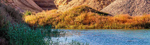 LafargeHolcim muestra su know how en la recuperación de hábitats y especies en sus canteras