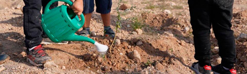 Rehabilitación de la cantera de Holcim en el marco de un proyecto educativo con escolares de Carboneras