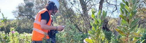 Plan de Gestión de la Biodiversidad en la planta de Alconera de Votorantim Cimentos