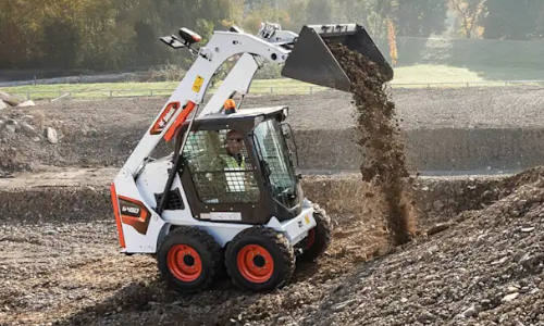 Bobcat