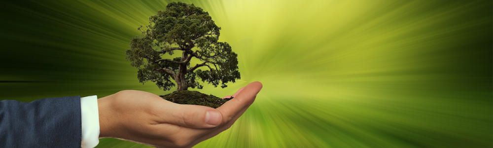 ANEFHOP compensa la huella de carbono generada por su Congreso del Hormigón