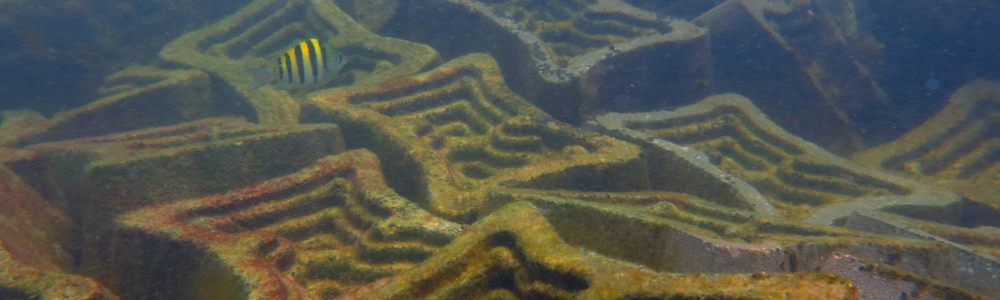 Instalación de hormigón con tecnología de ECOncrete