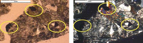 Opacos en grano de arena con luz polarizada y con luz polarizada analizada (x2,5)