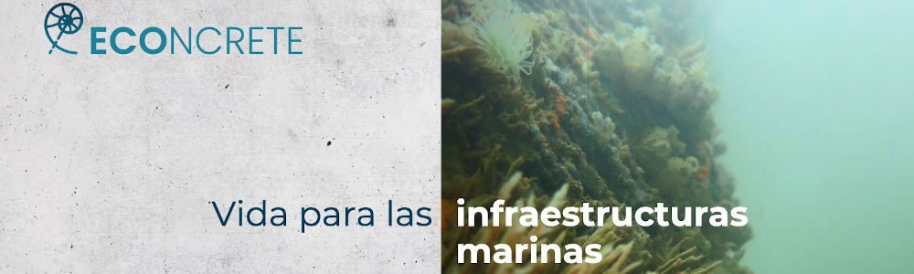 ECOncrete hormigón para puertos
