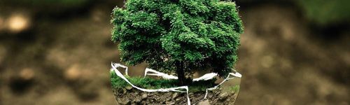 Cuidado Medio Ambiente