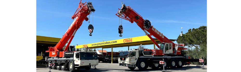 Grúa móvil Liebherr LTM 1110-5.2