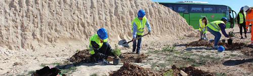 Día del Árbol de Anefa - Cantera Valdilecha