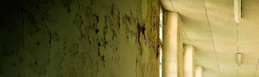 Pareder con humedades