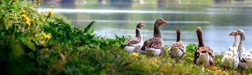 Rehabilitación Medioambiental