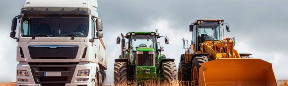 Ritchie Bros. en España