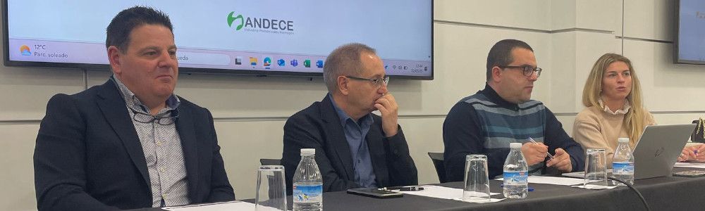 Presentación TerrazoInnova | ANDECE