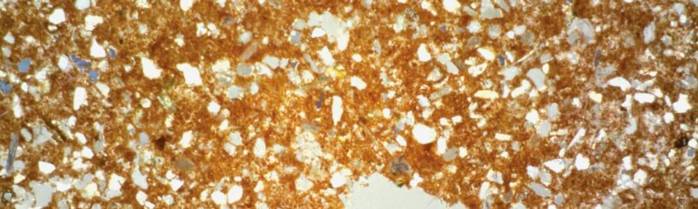 Petrográfico de la muestra