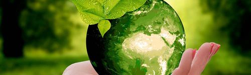 Cuidado Medioambiental